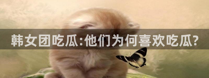 911爆料网红吃瓜