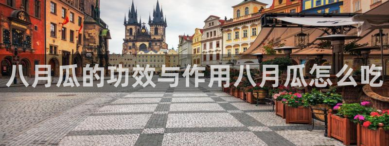 ccgg.mob今日吃瓜：八月瓜的功效与作用八月瓜怎么吃