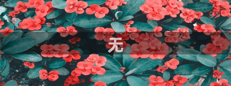 吃瓜吃到自己头上：无