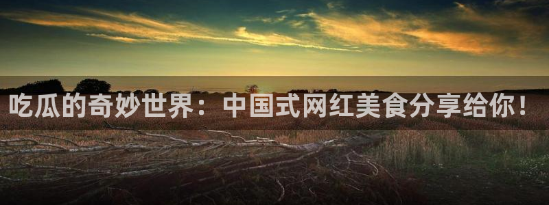 24小时吃瓜不间断：吃瓜的奇妙世界：中国式网红美食分享给你！