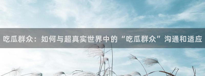 吃瓜吃瓜：吃瓜群众：如何与超真实世界中的“吃瓜群众”沟通和适应