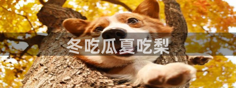 51吃瓜网每日榜单：冬吃瓜夏吃梨