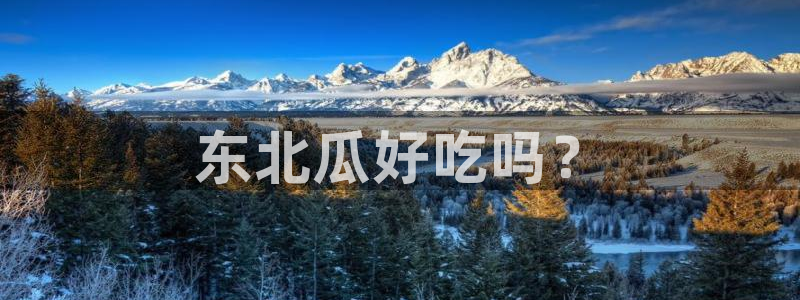 豆瓣自由吃瓜基地
