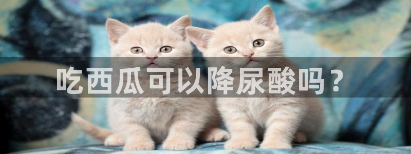 51热门大瓜今日吃瓜:吃西瓜可以降尿酸吗?