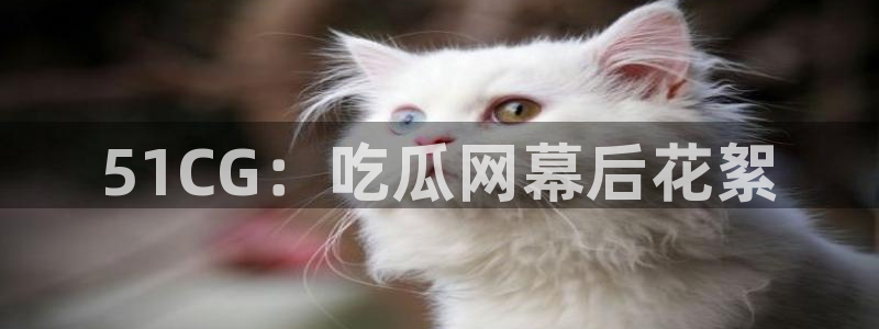 51今日吃瓜热门爆料:51CG:吃瓜网幕后花絮