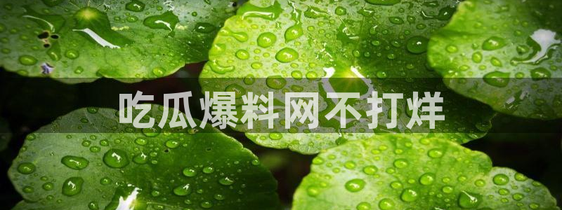 nanataipei51吃瓜