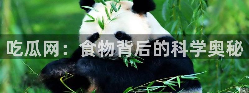 91吃瓜网今日吃瓜入口:吃瓜网:食物背后的科学奥秘